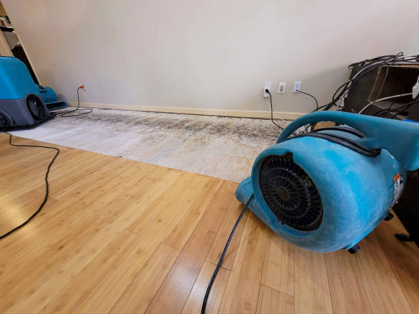 Professional Structural Drying technician working in Riverdale, MD